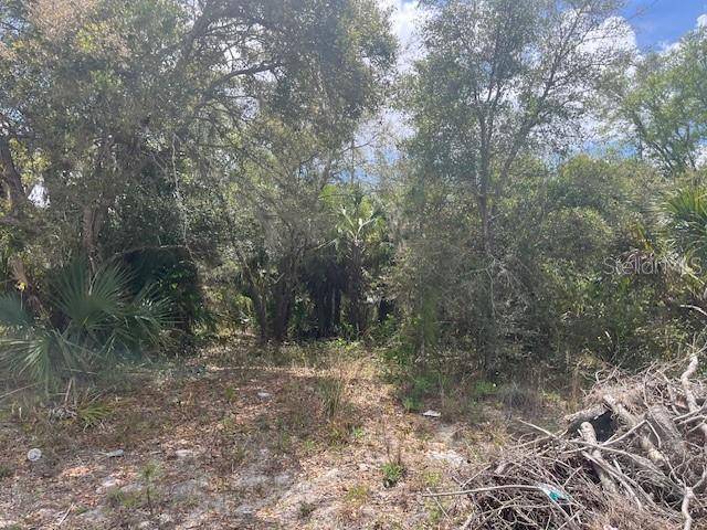 SCOTTISH TER, North Port, FL 34288