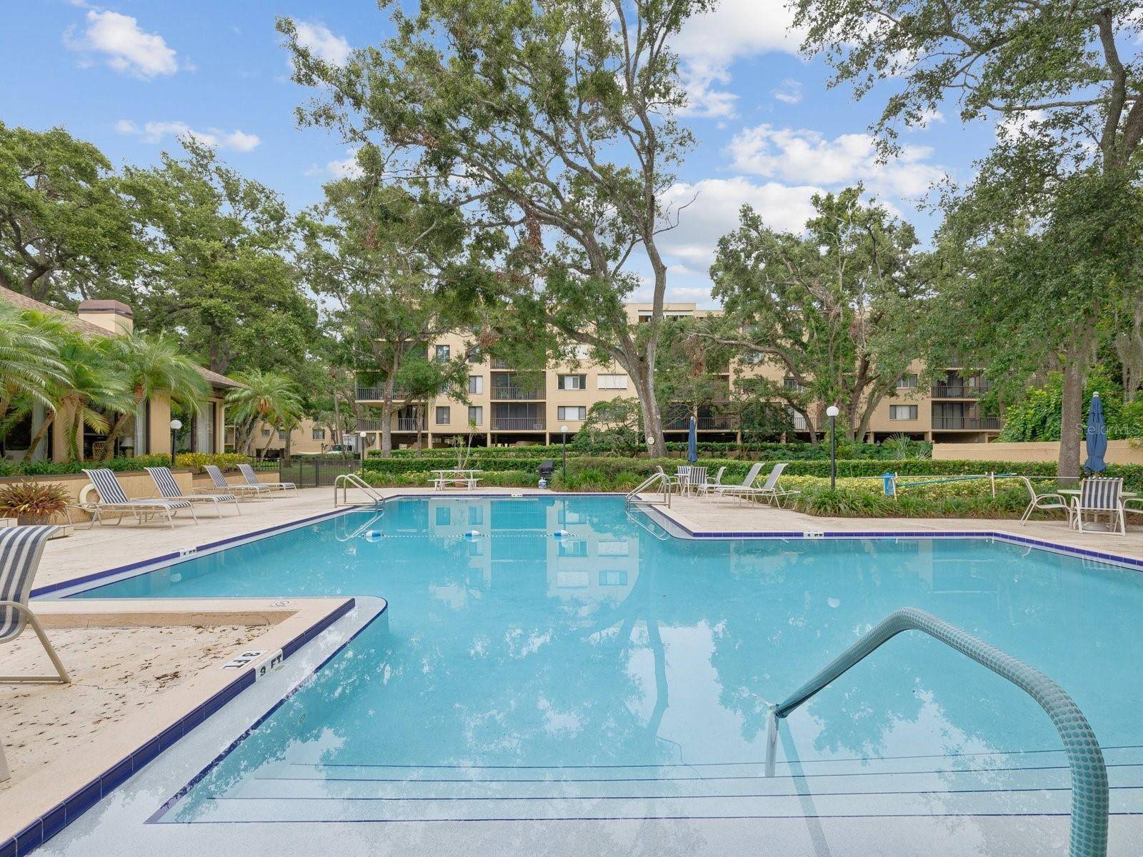 3078 EASTLAND BLVD #309, Clearwater, FL 33761