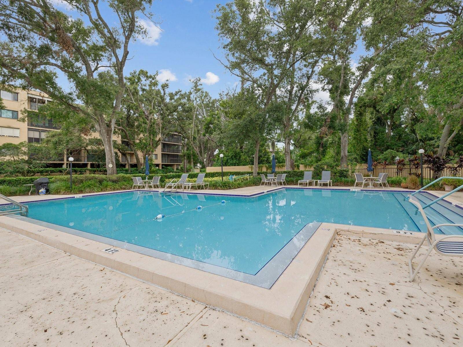 3078 EASTLAND BLVD #309, Clearwater, FL 33761