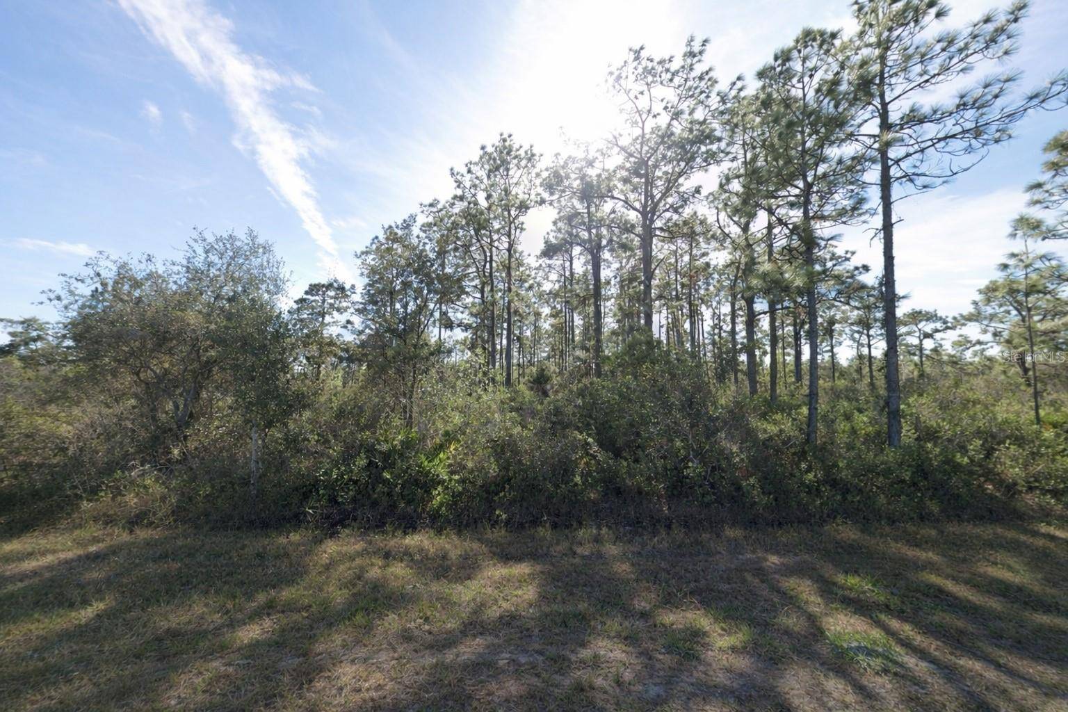 GAILLARDIA DR, Indian Lake Estates, FL 33855