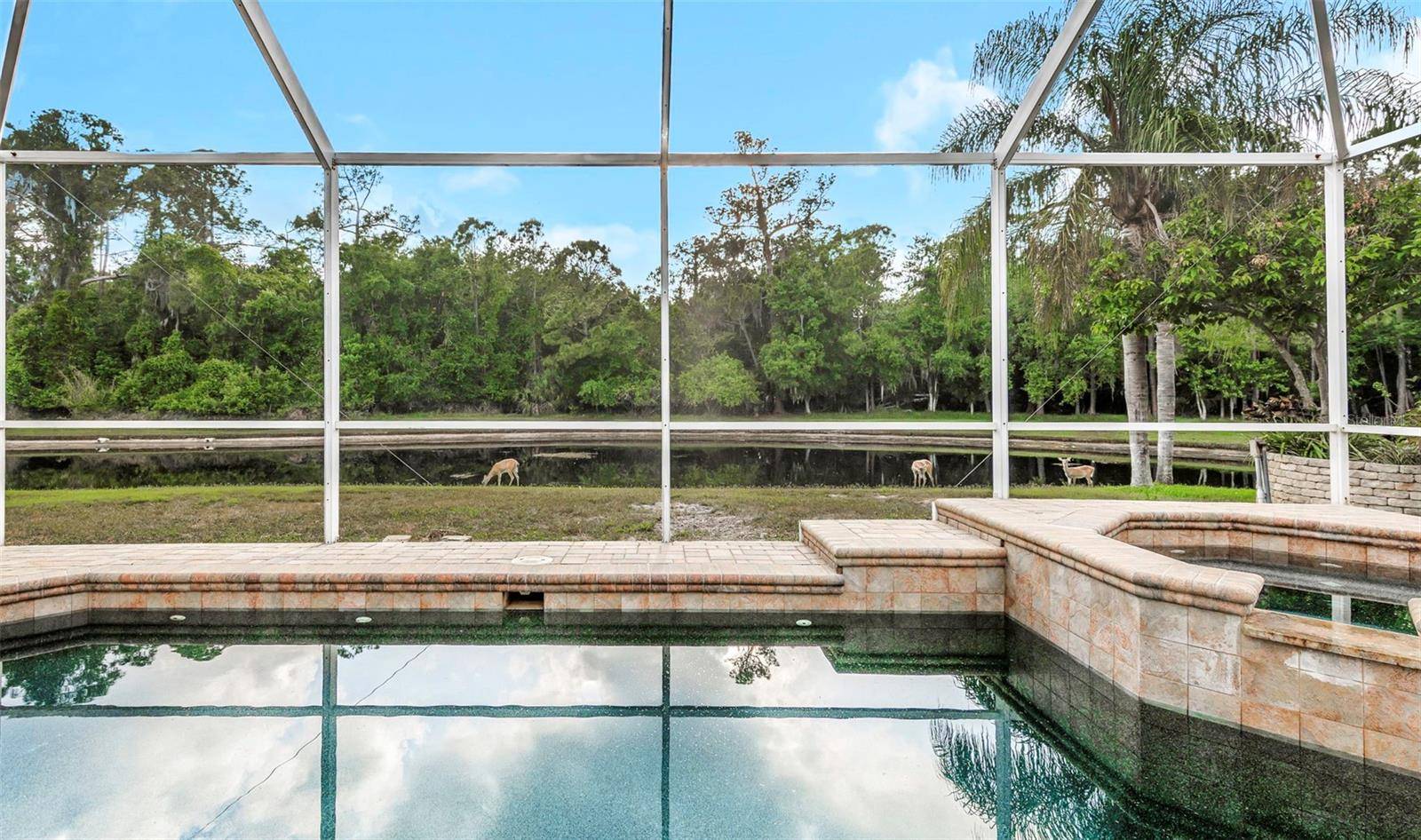 4152 GRANDCHAMP CIR, Palm Harbor, FL 34685