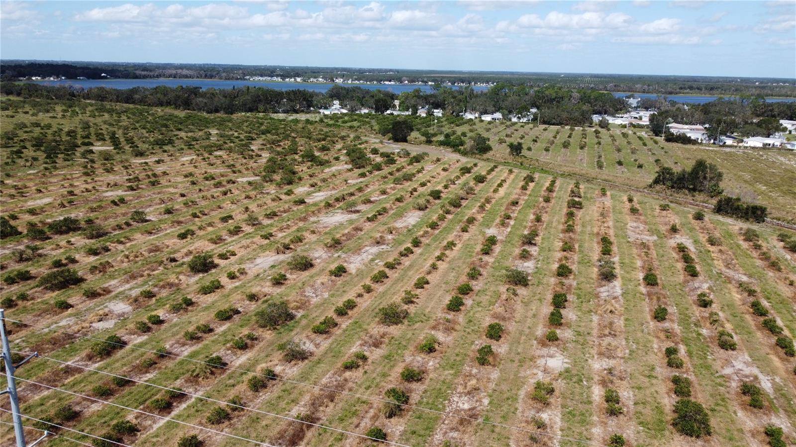 3162 POWER LINE RD, Avon Park, FL 33825