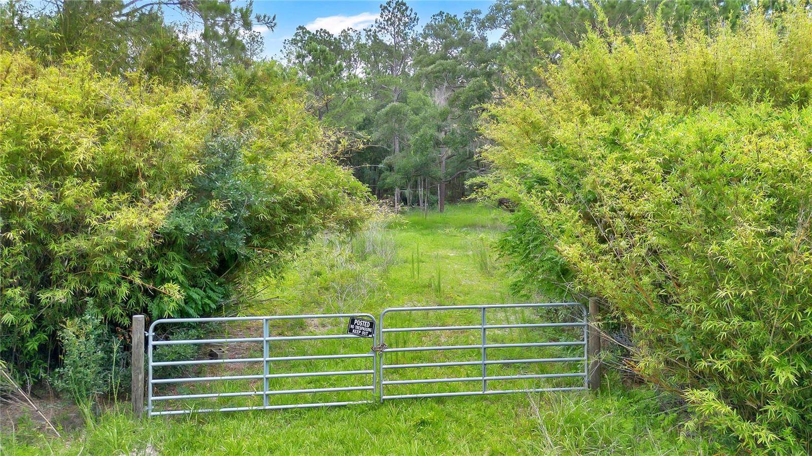 7831 NE 132ND PL, Citra, FL 32113