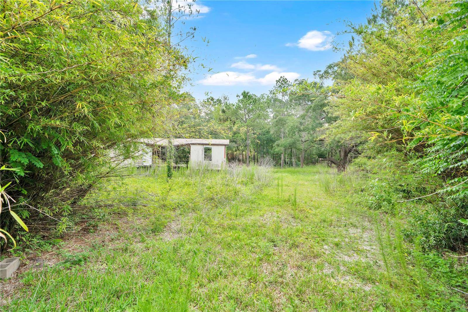 7831 NE 132ND PL, Citra, FL 32113