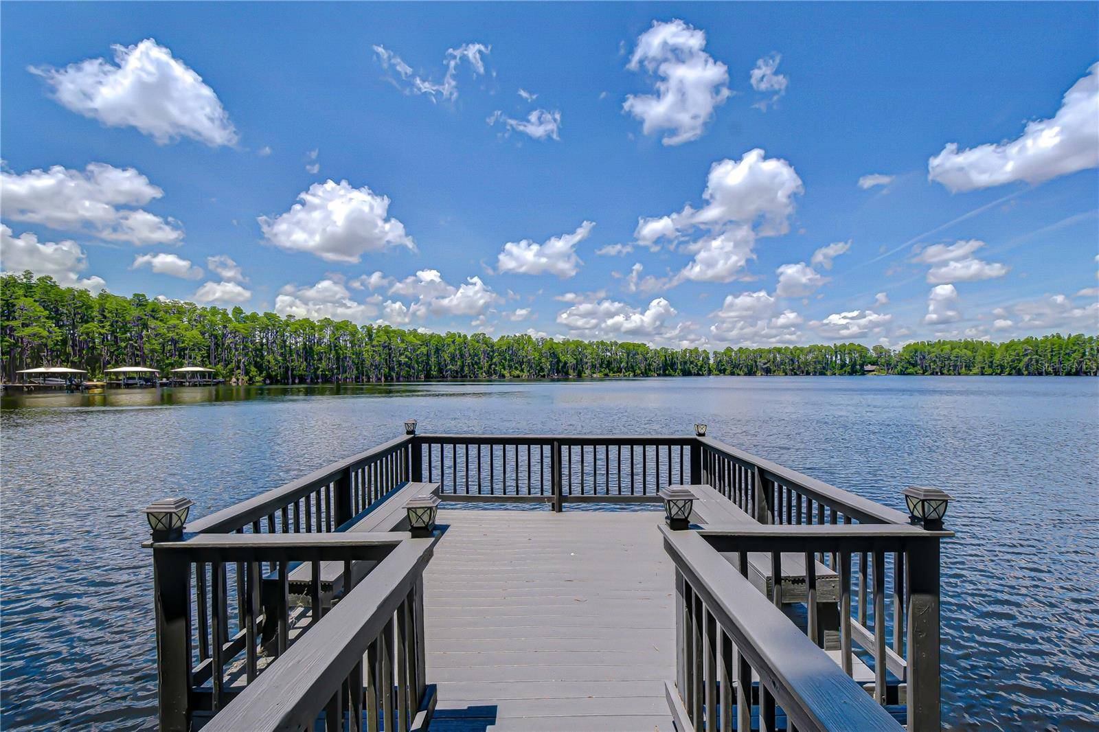 20915 LAKE VIENNA DR, Land O Lakes, FL 34638