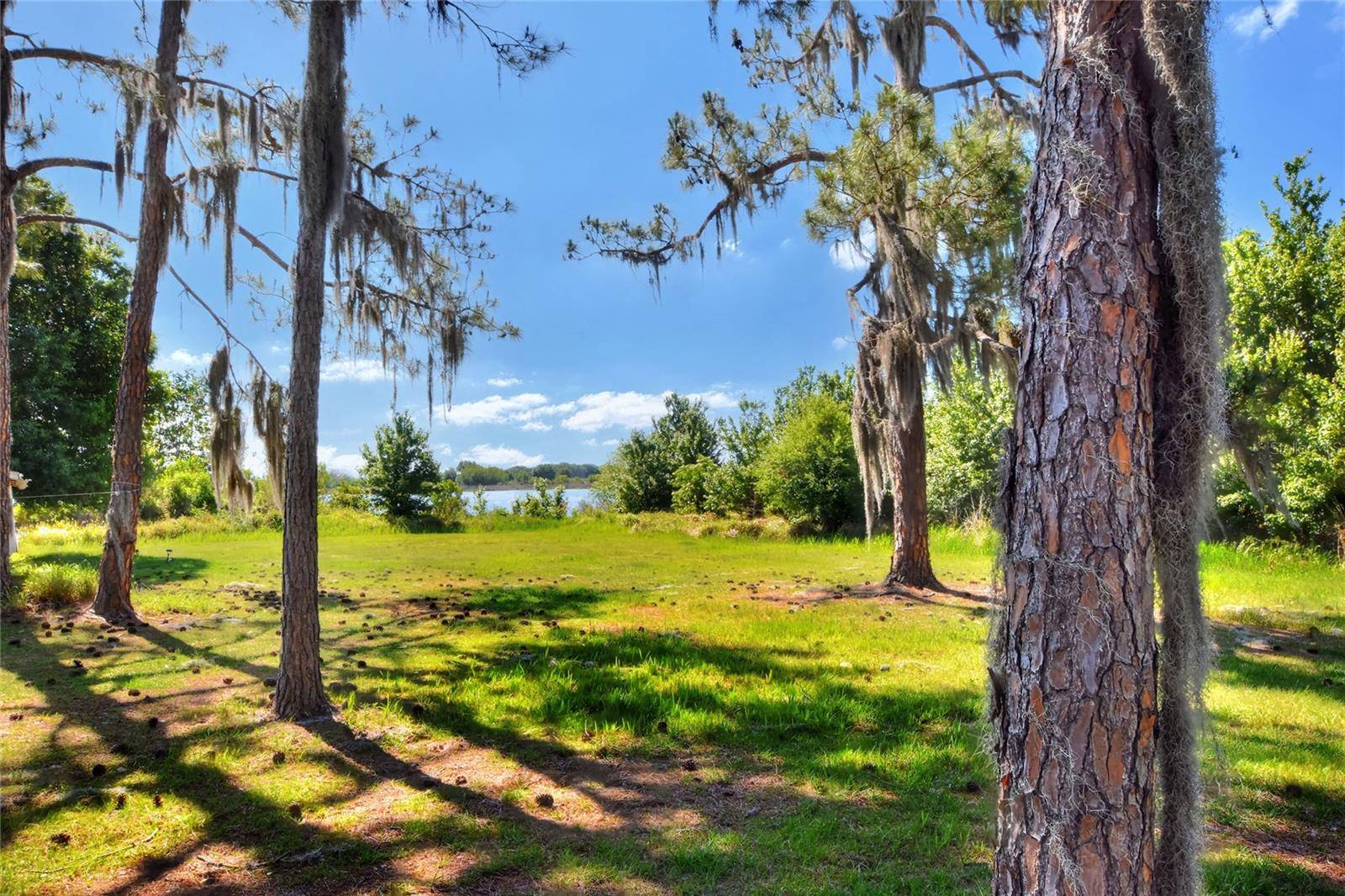 0 LAKE BUFFUM RD W, Fort Meade, FL 33841