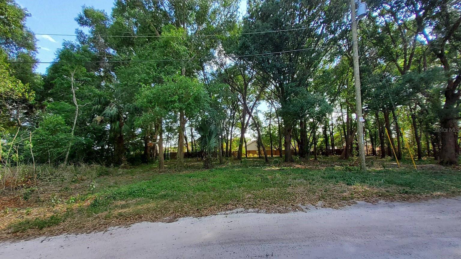 25050 ALGONQUIN AVE, Mount Plymouth, FL 32776