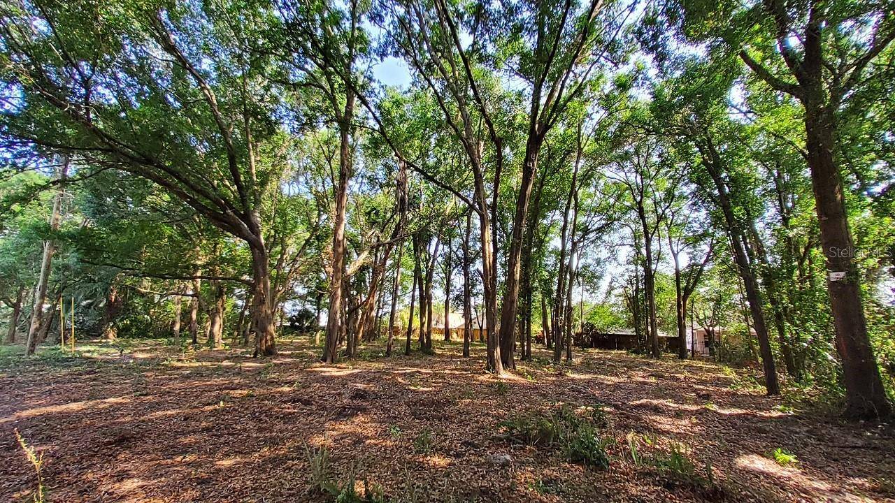 25050 ALGONQUIN AVE, Mount Plymouth, FL 32776