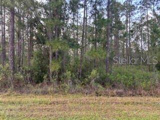 310&312 (BLK368 LOTS 5&6) ALBA DR, Indian Lake Estates, FL 33855