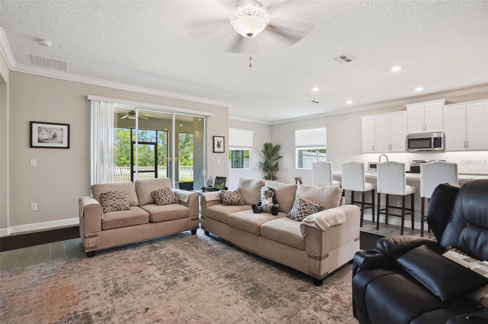 17135 SHELL BAY DR, Land O Lakes, FL 34638