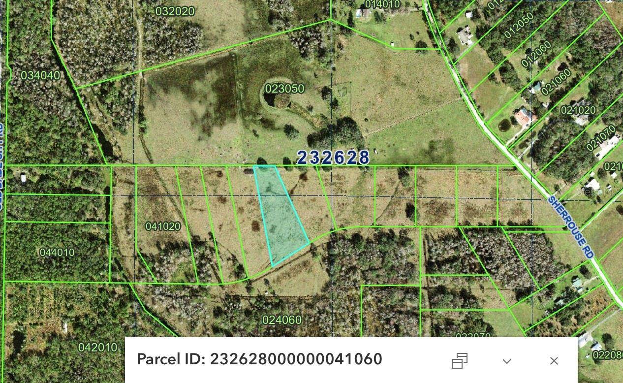 OLD DADE CITY RD, Lakeland, FL 33810