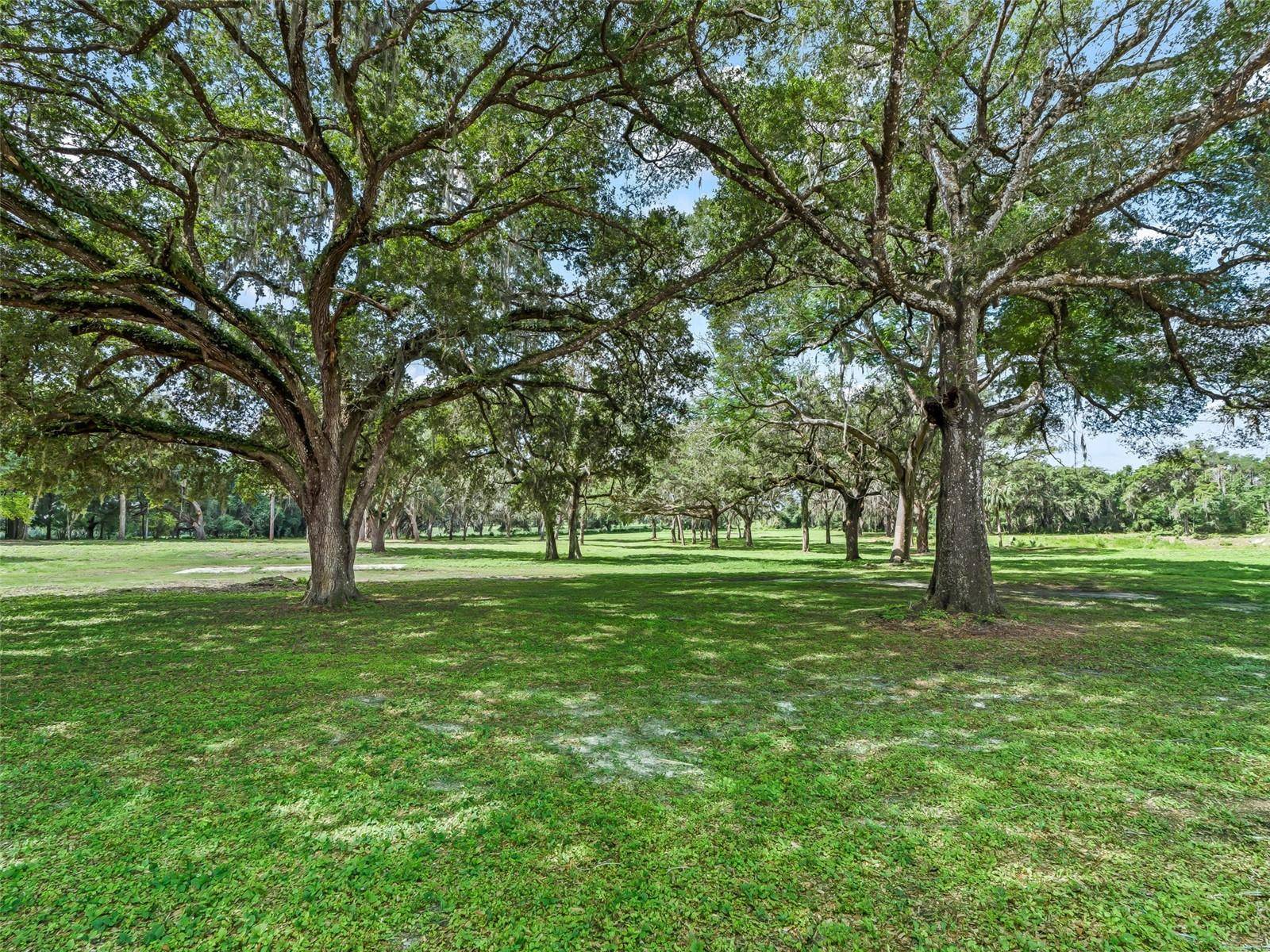 10660 E BUSHNELL RD, Floral City, FL 34436