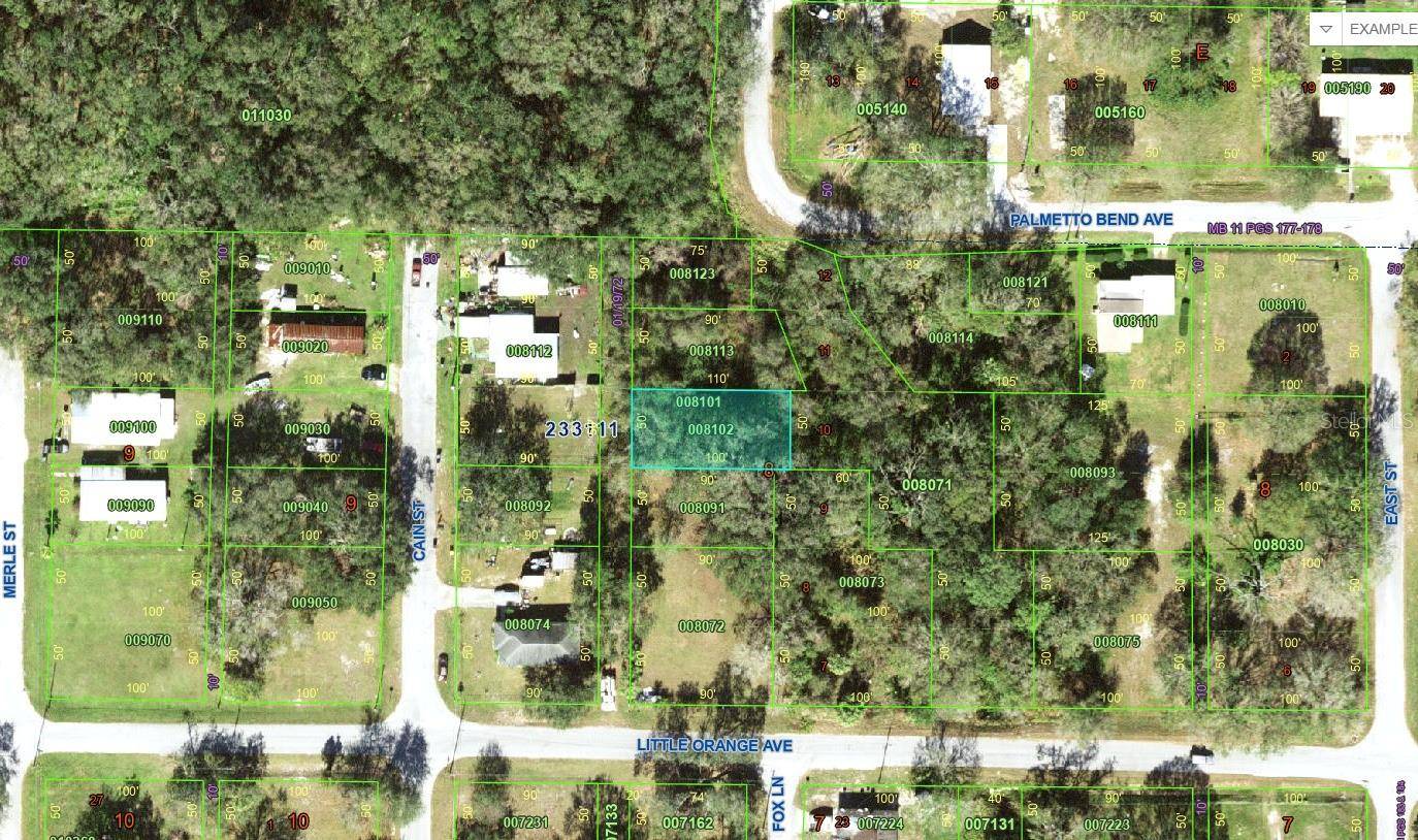 LITTLE ORANGE AVE, Mulberry, FL 33860