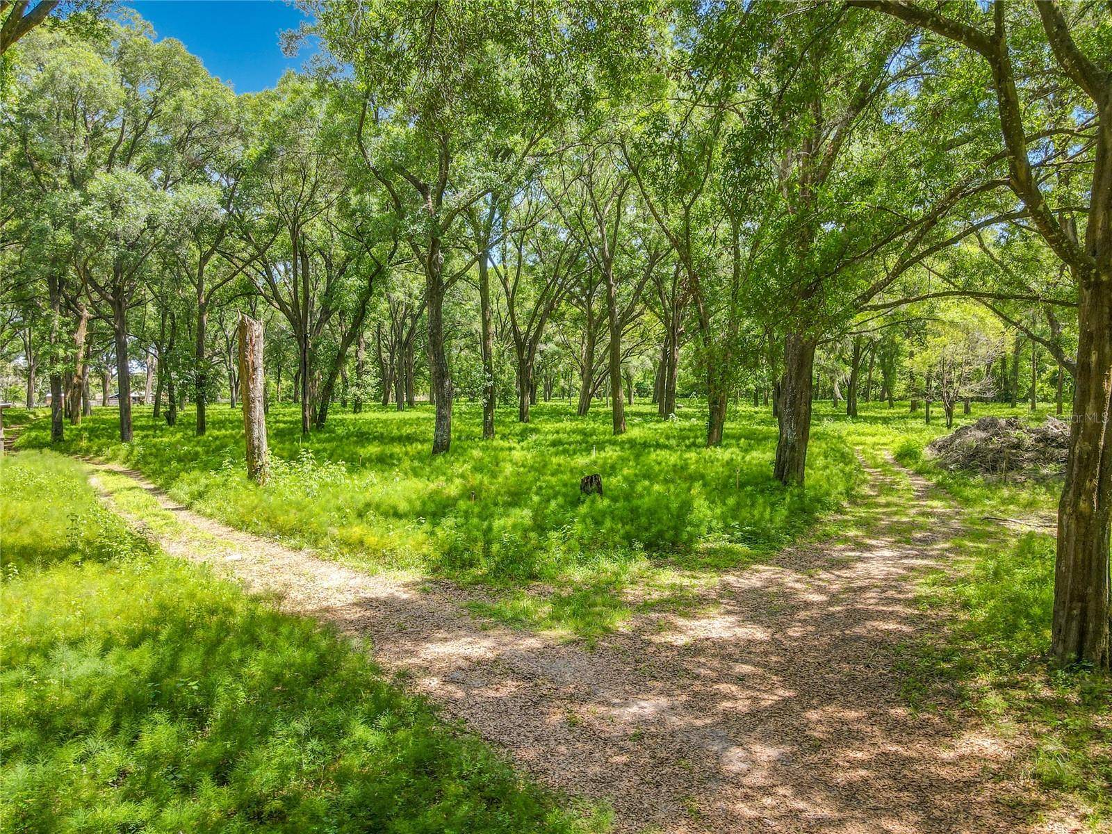 164 DENVER RD, Crescent City, FL 32112
