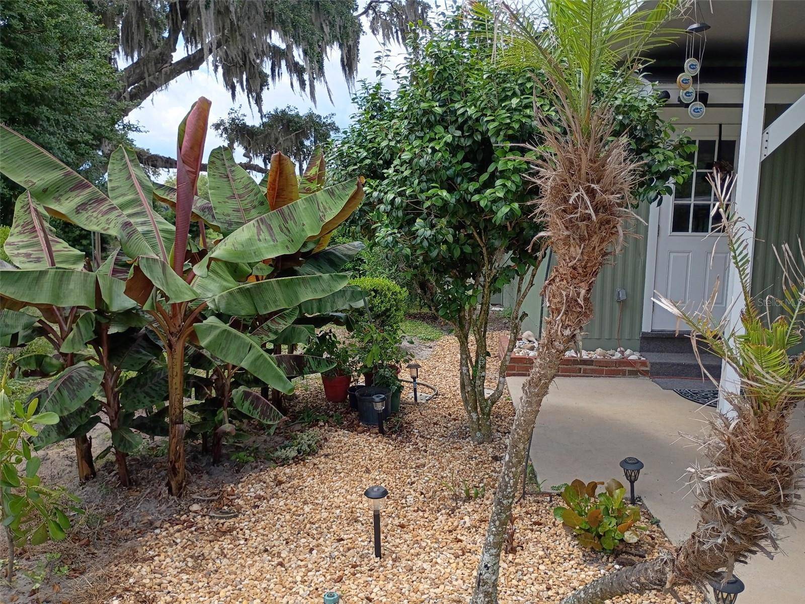 1403 BLACKWELDER RD, De Leon Springs, FL 32130