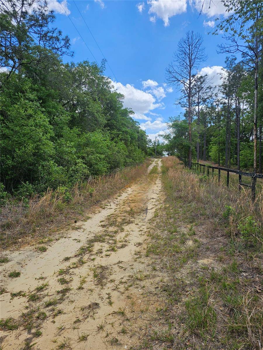 2950 W POMPANO LN, Dunnellon, FL 34433