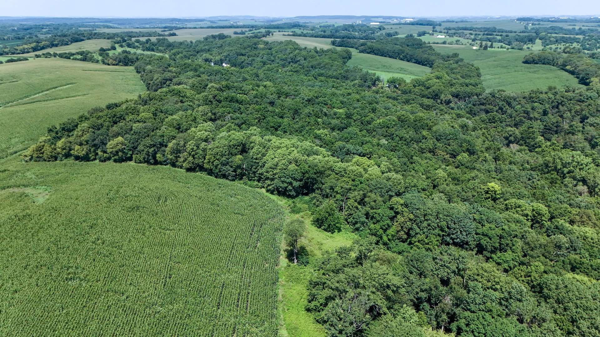 0 S Flint RD, Pearl City, IL 61062