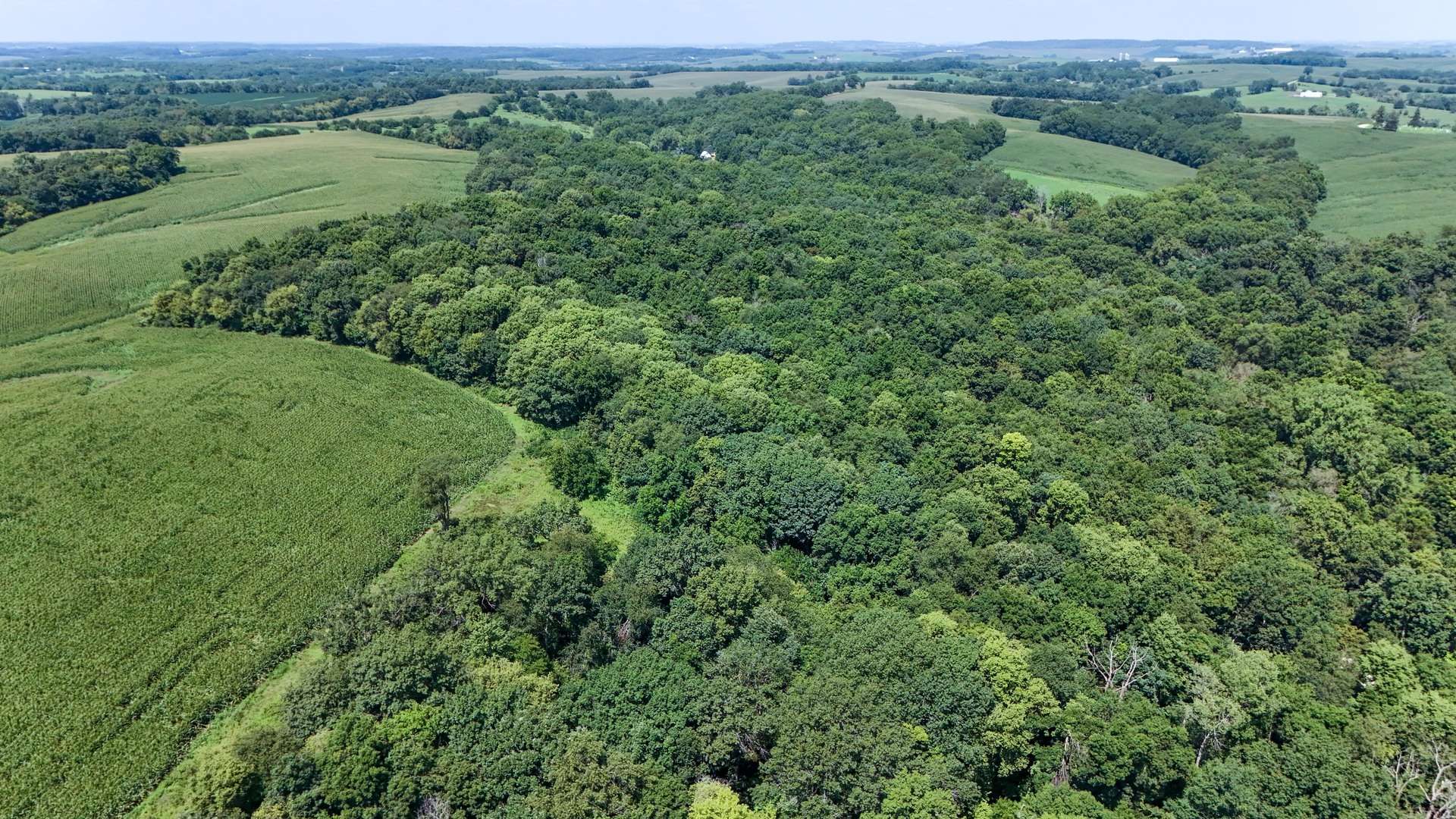 0 S Flint RD, Pearl City, IL 61062