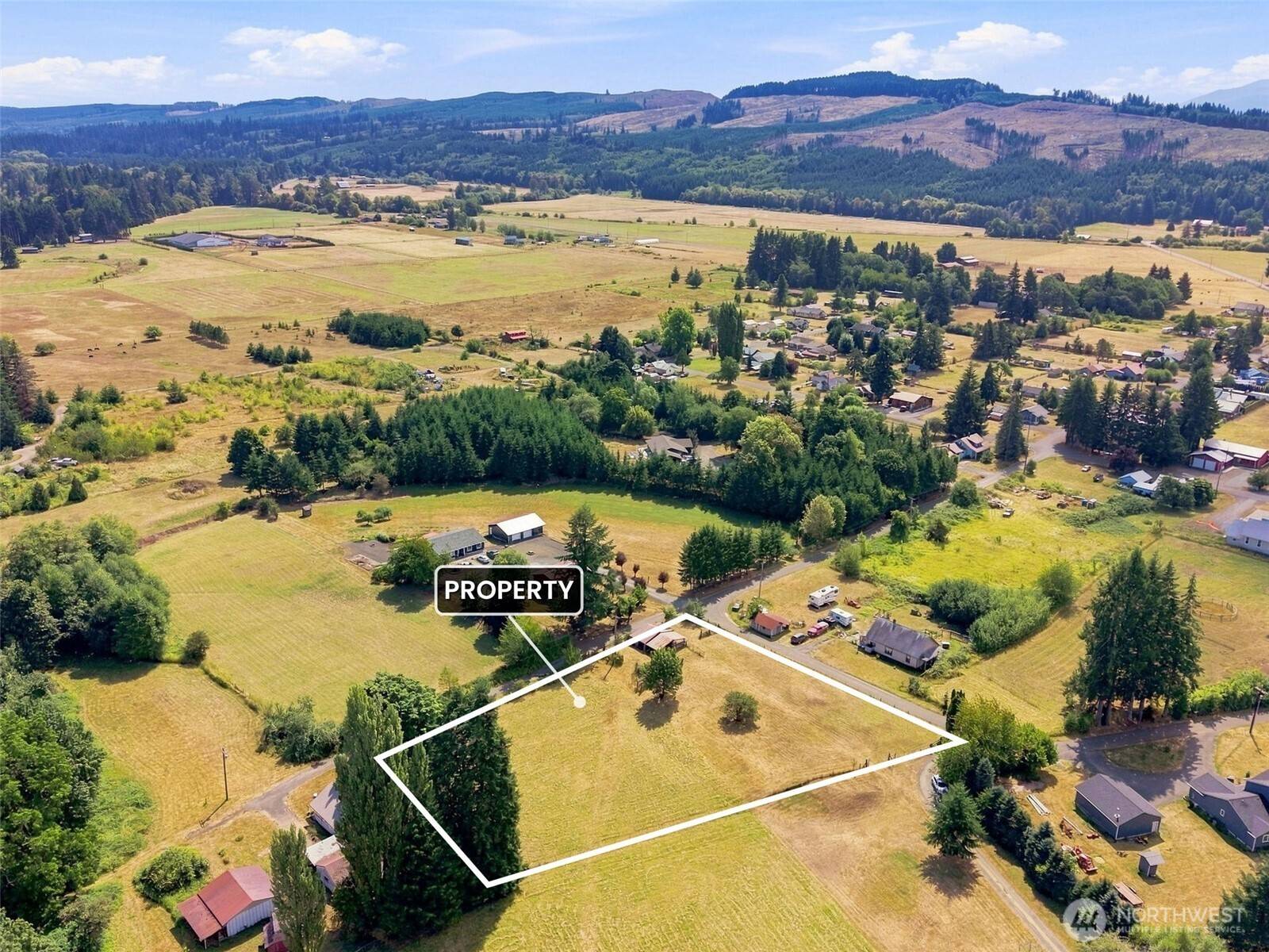 0 Cedar, Doty, WA 98539