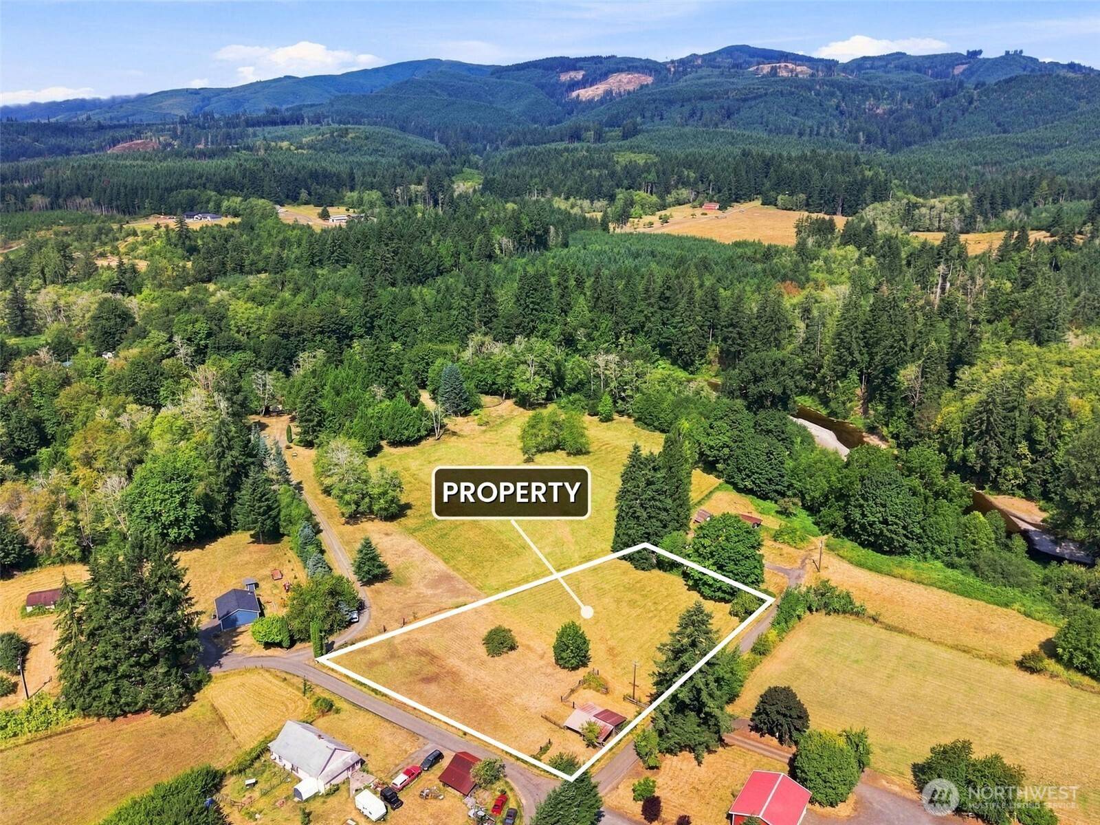 0 Cedar, Doty, WA 98539