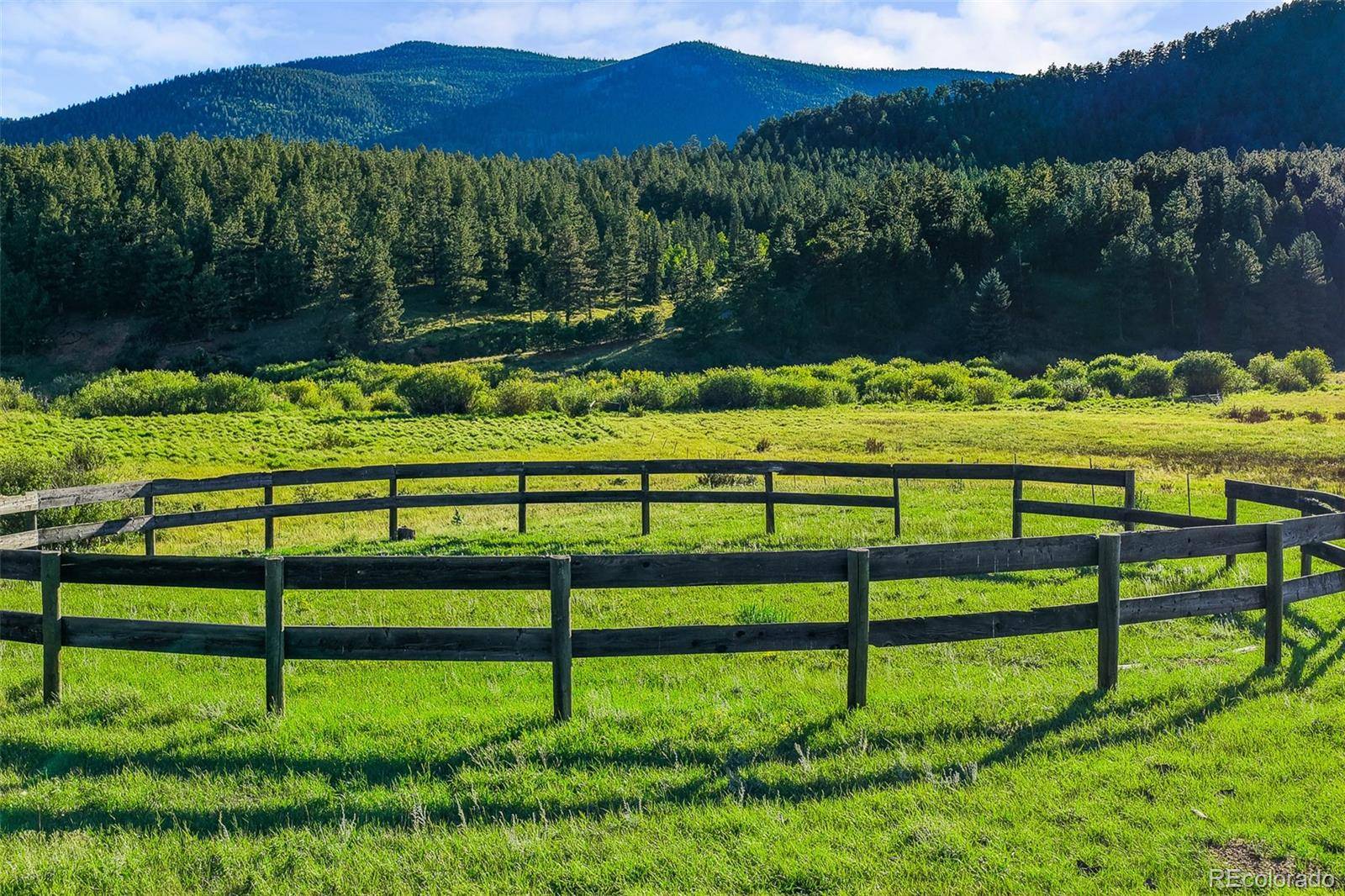 3763 County Road 43, Bailey, CO 80421