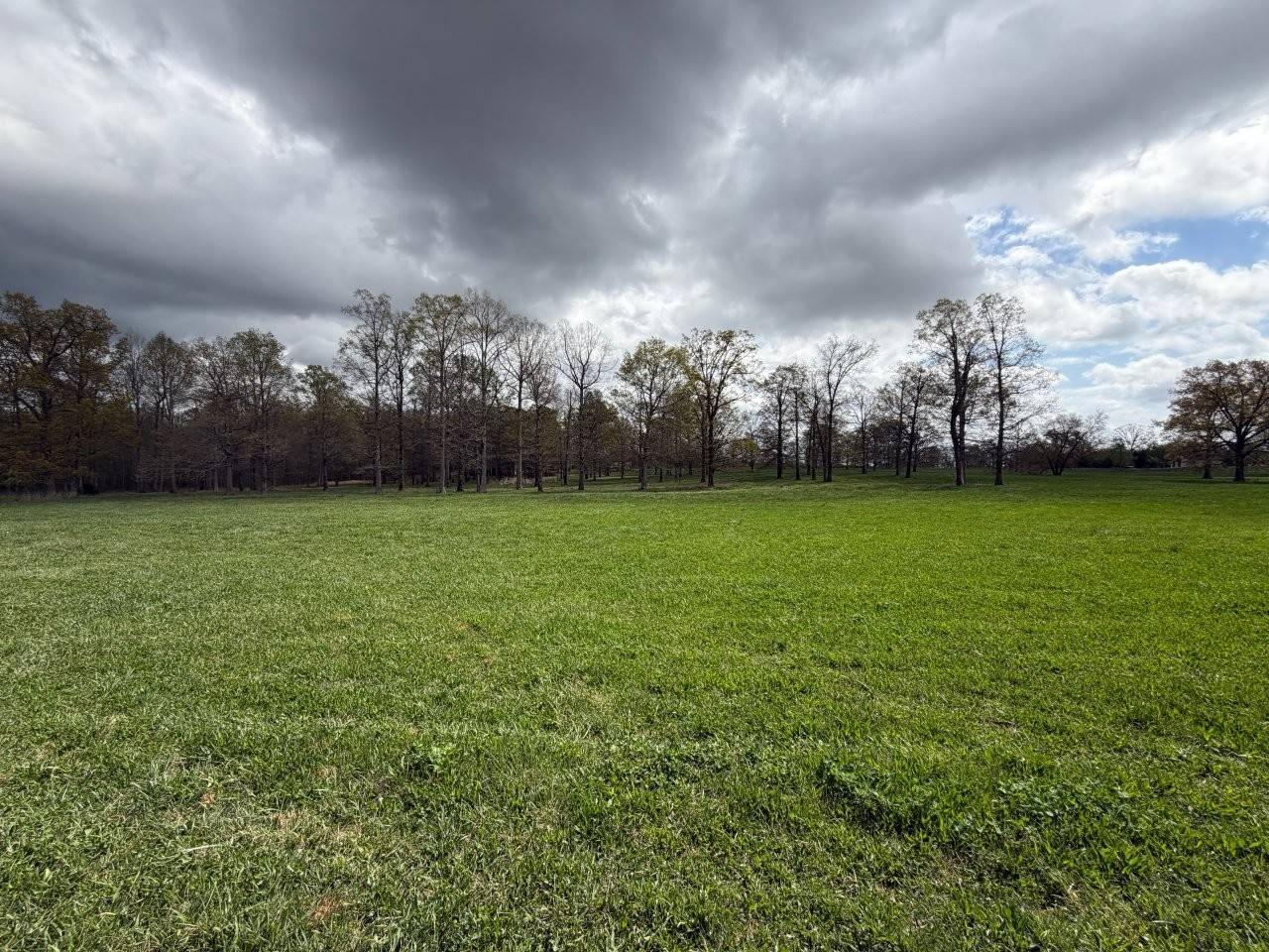 15 Ledford Mill Lane, Normandy, TN 37360