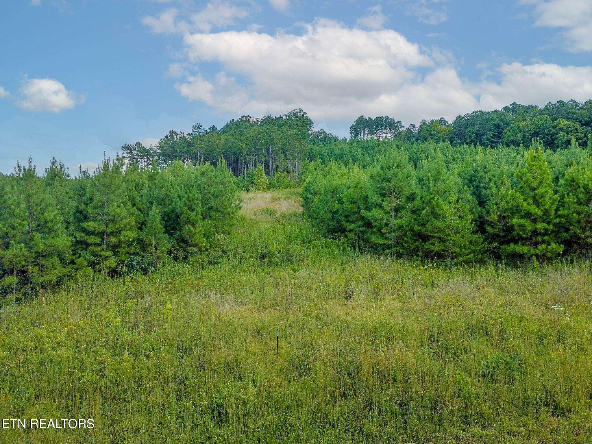 0 Lot #41 Three Point Rd, Madisonville, TN 37354