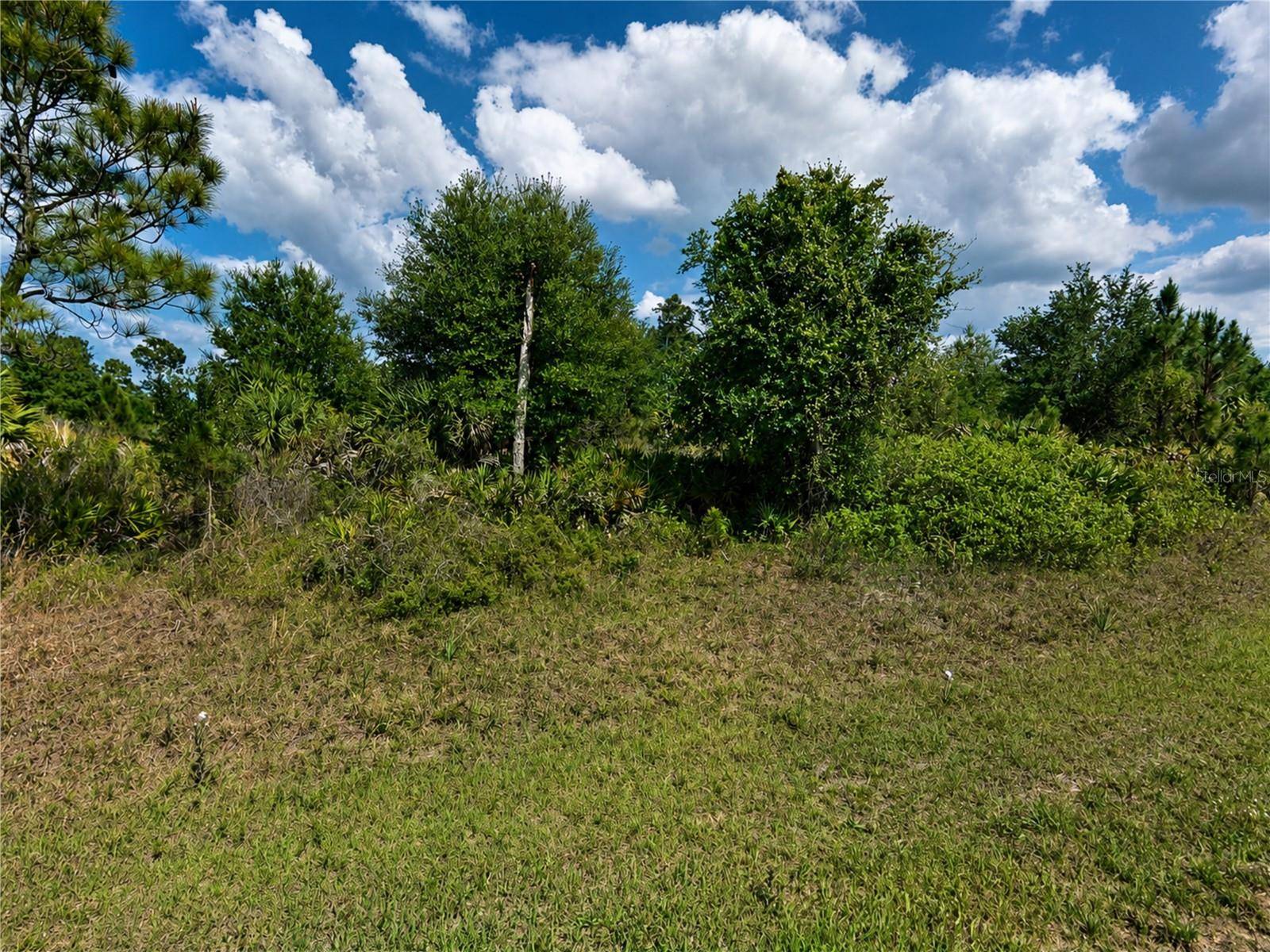 Lot 11 CHINABOX ST, North Port, FL 34288