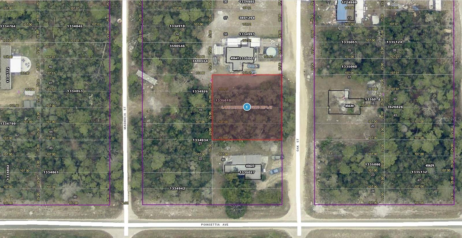 14-17-28-0200-004-04100 OAK ST, Paisley, FL 32767