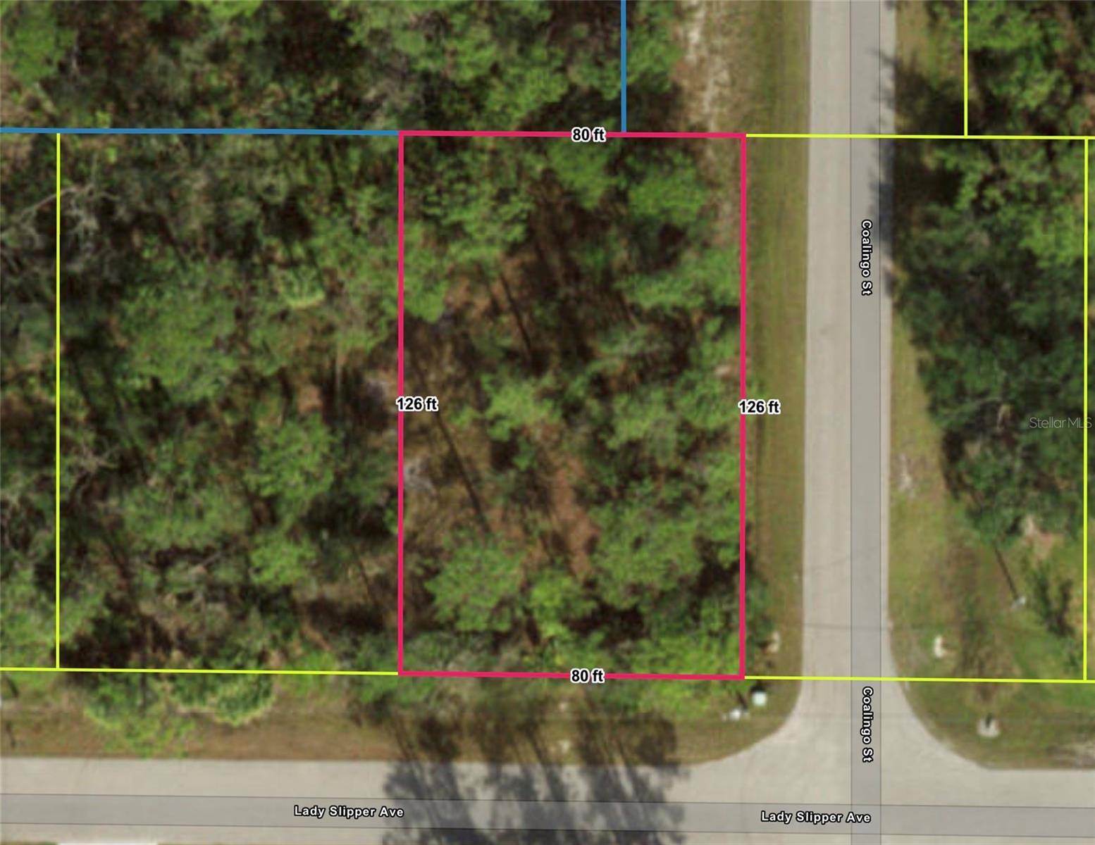 LADY SLIPPER AVE, North Port, FL 34291