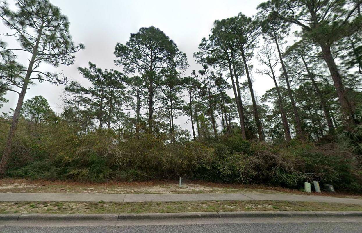 126 LAUGHING GULL LN, Carrabelle, FL 32322