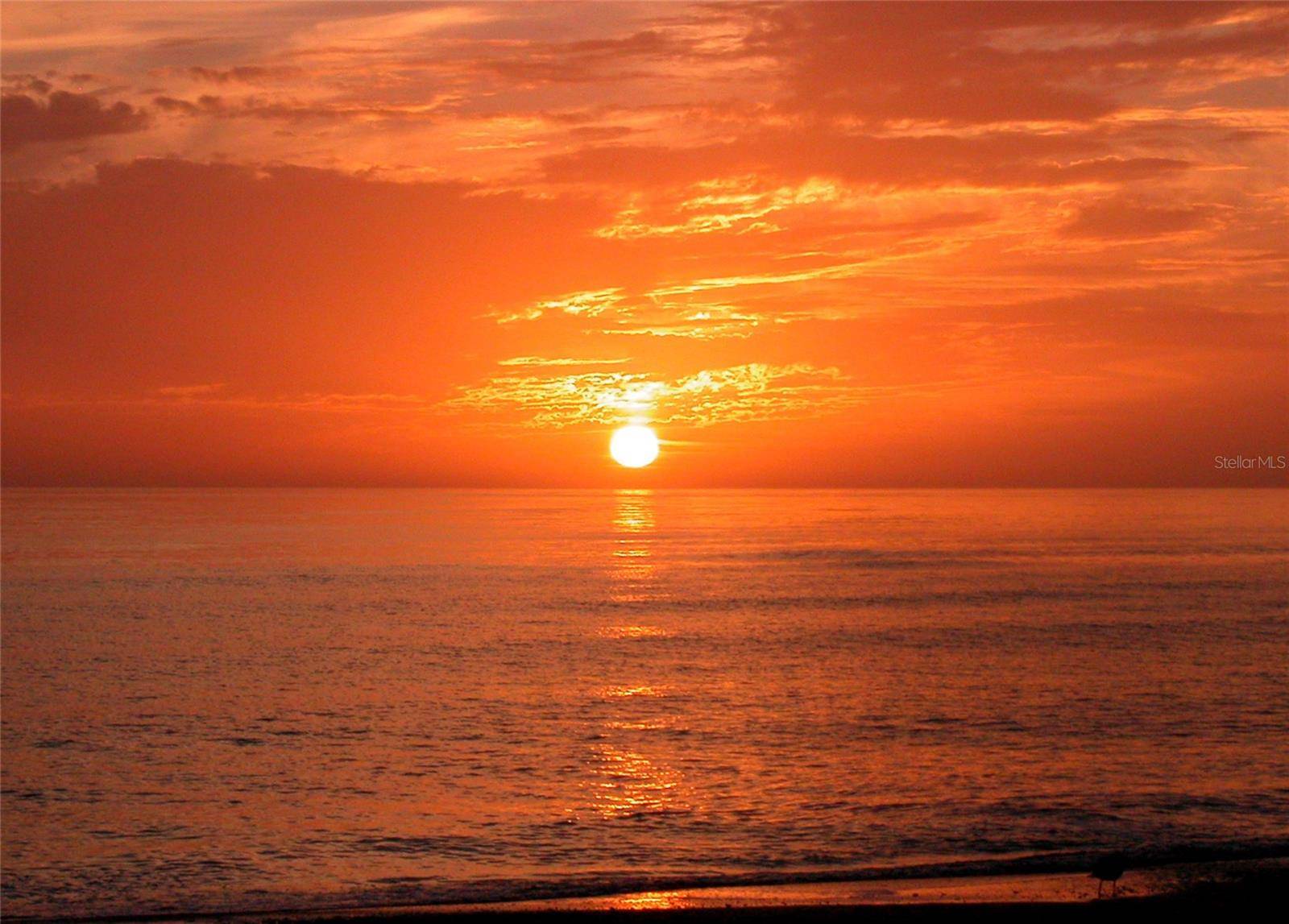 7115 GULF OF MEXICO DR #23, Longboat Key, FL 34228