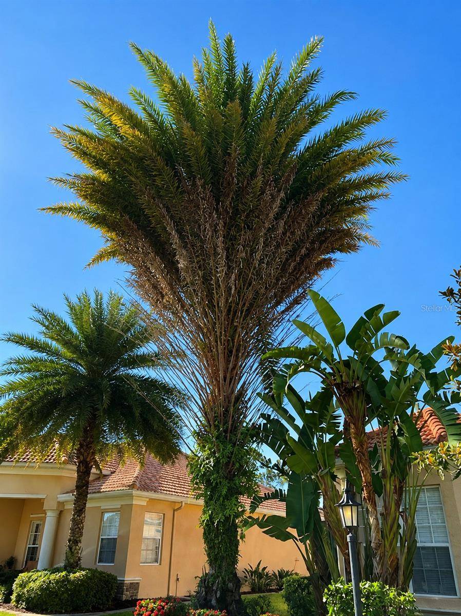 5570 ROCK DOVE DR, Sarasota, FL 34241