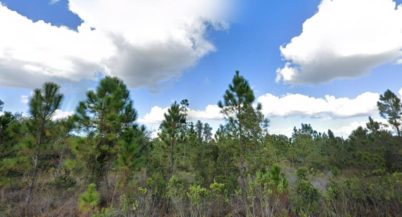 1017 PORTULACA DR, Indian Lake Estates, FL 33855