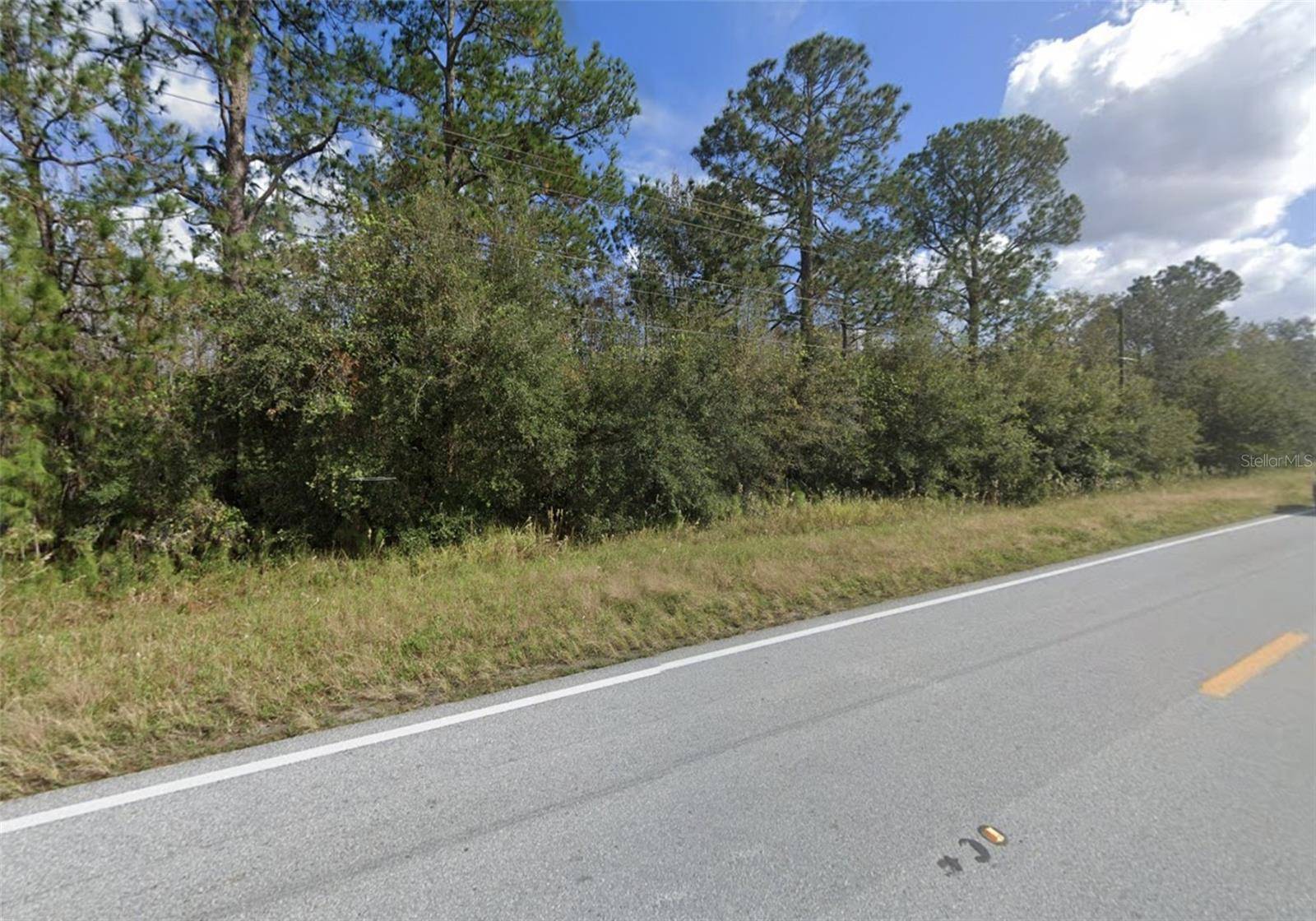 OLD GRADE RD, Polk City, FL 33868