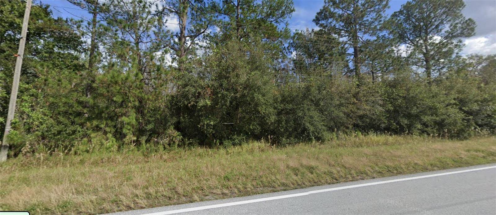OLD GRADE RD, Polk City, FL 33868