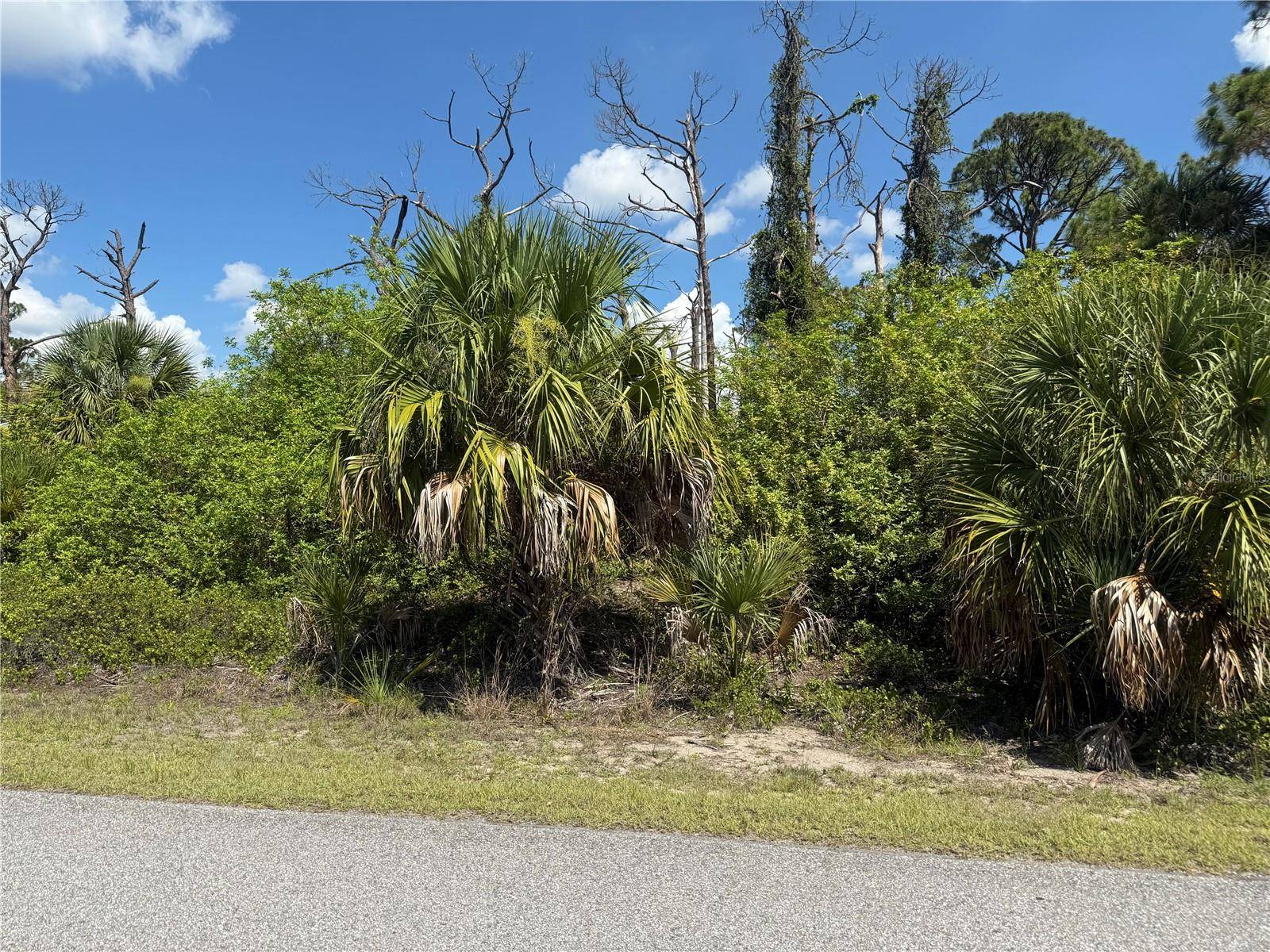 FAIRLANE DR, North Port, FL 34288
