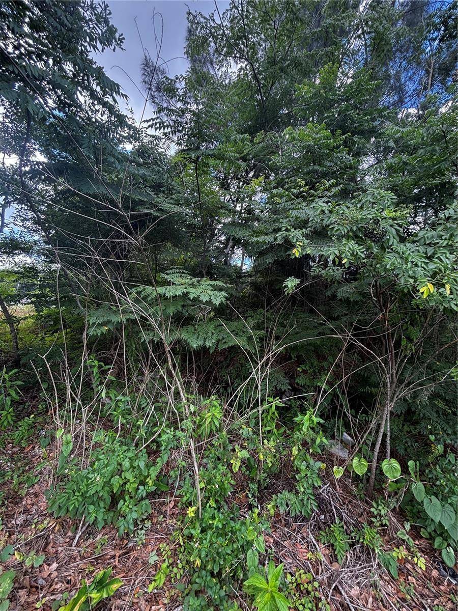 LEE ST, Bowling Green, FL 33834