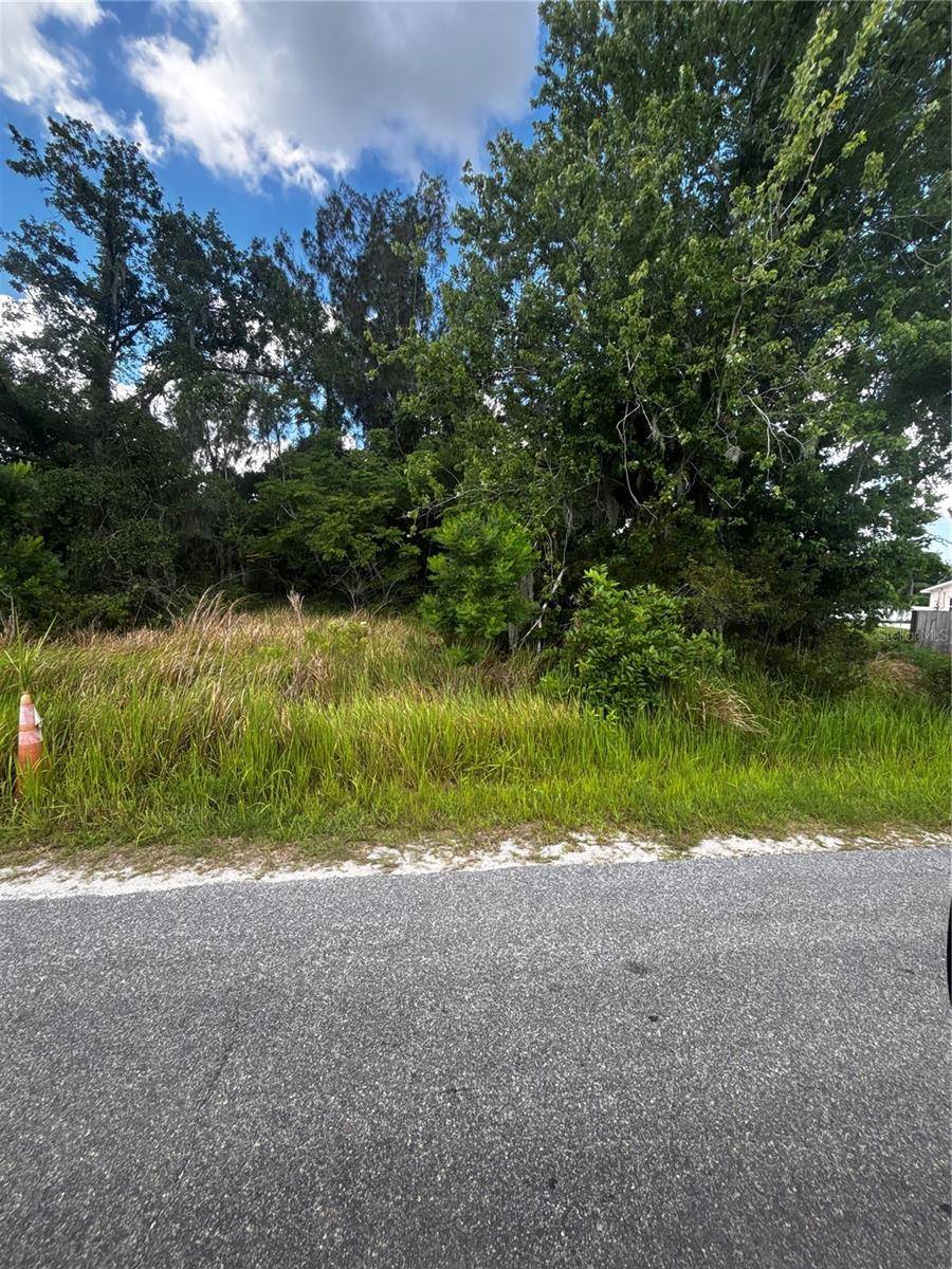LEE ST, Bowling Green, FL 33834