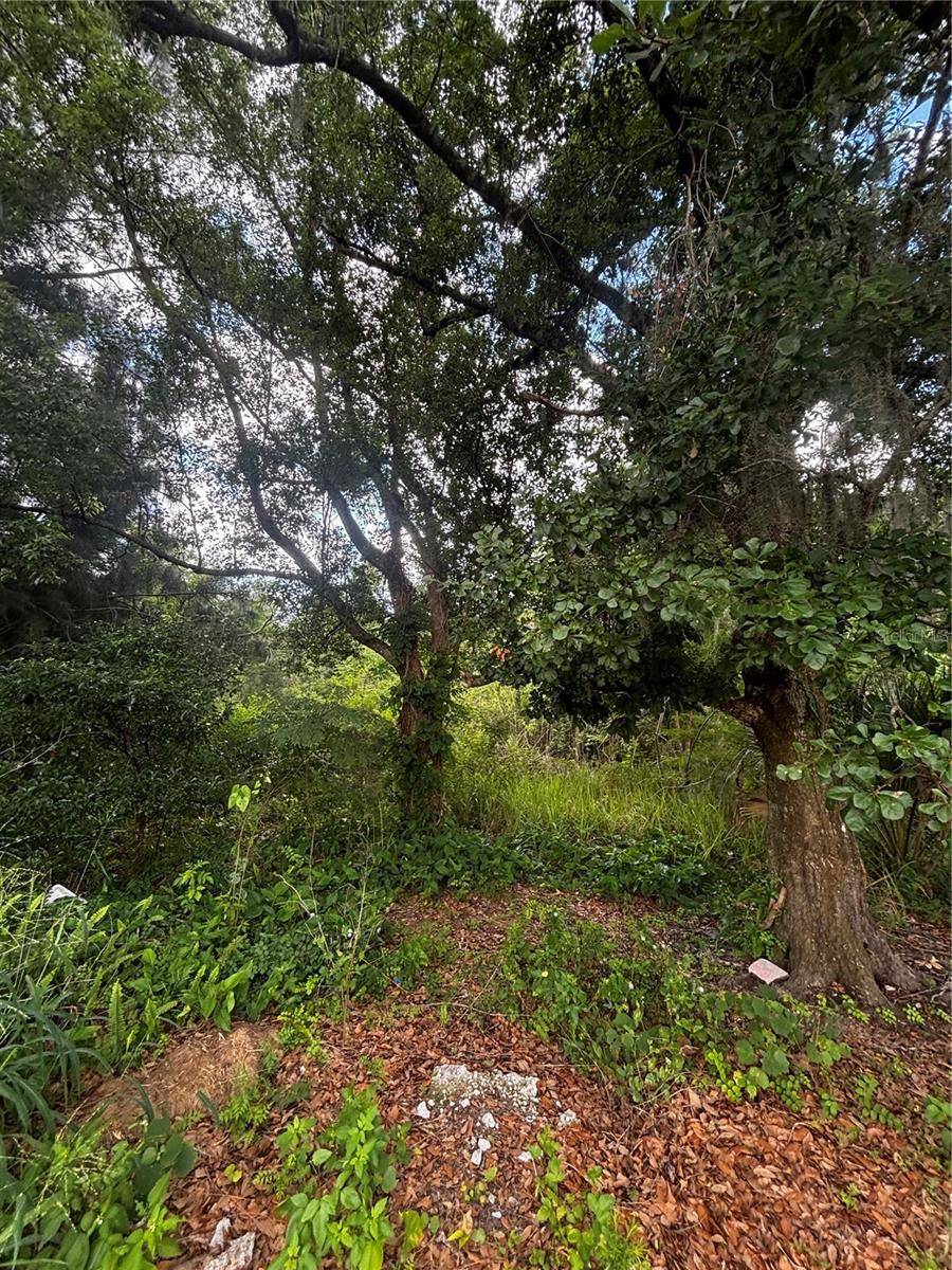 LEE ST, Bowling Green, FL 33834
