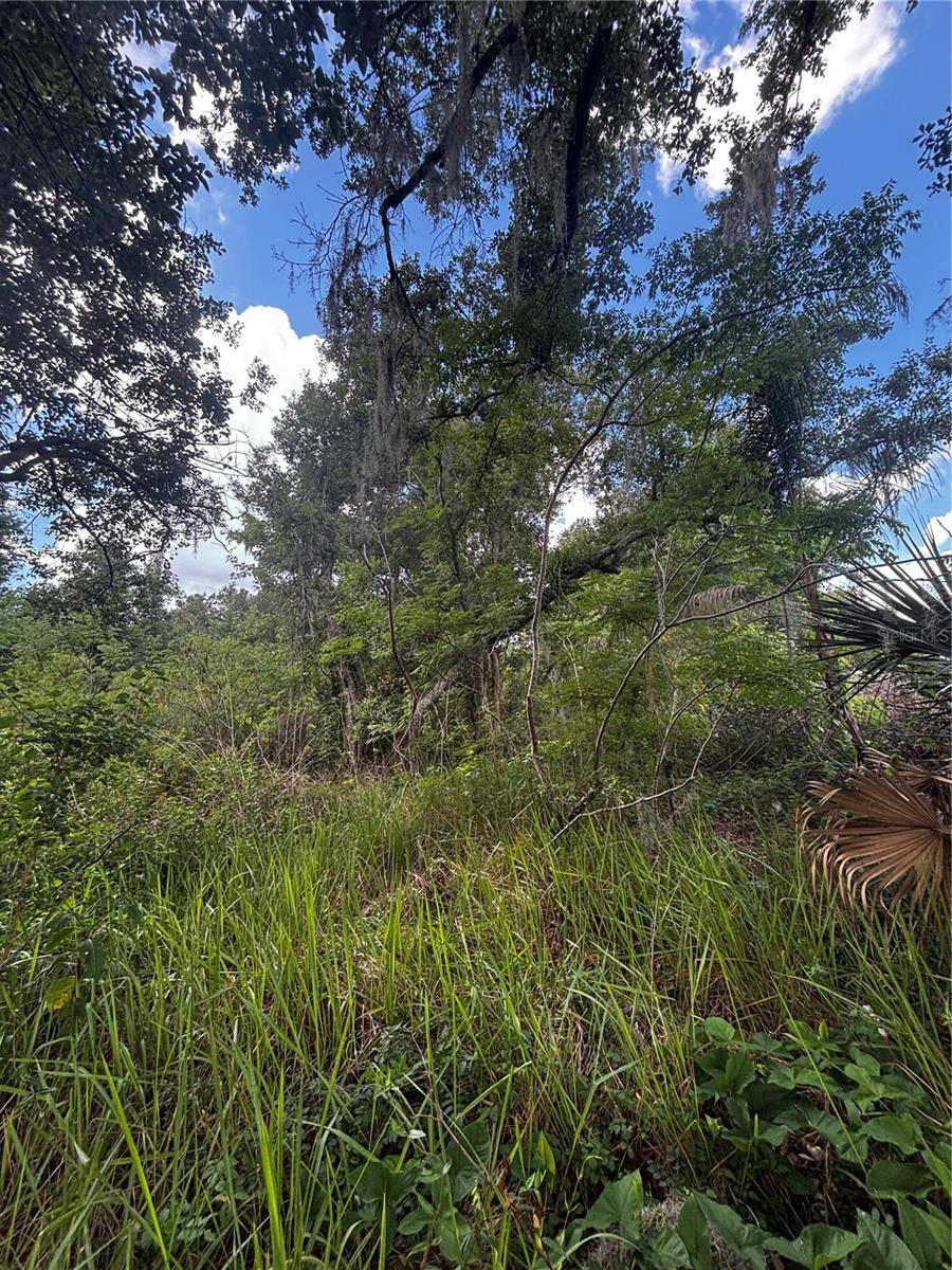 LEE ST, Bowling Green, FL 33834