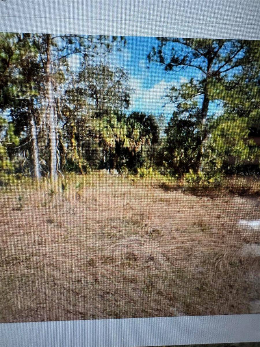 MATTOX CIR, North Port, FL 34288