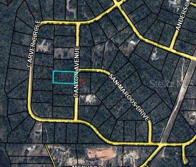 0 CANYON AVE, Alford, FL 32420