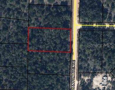 0 CANYON AVE, Alford, FL 32420