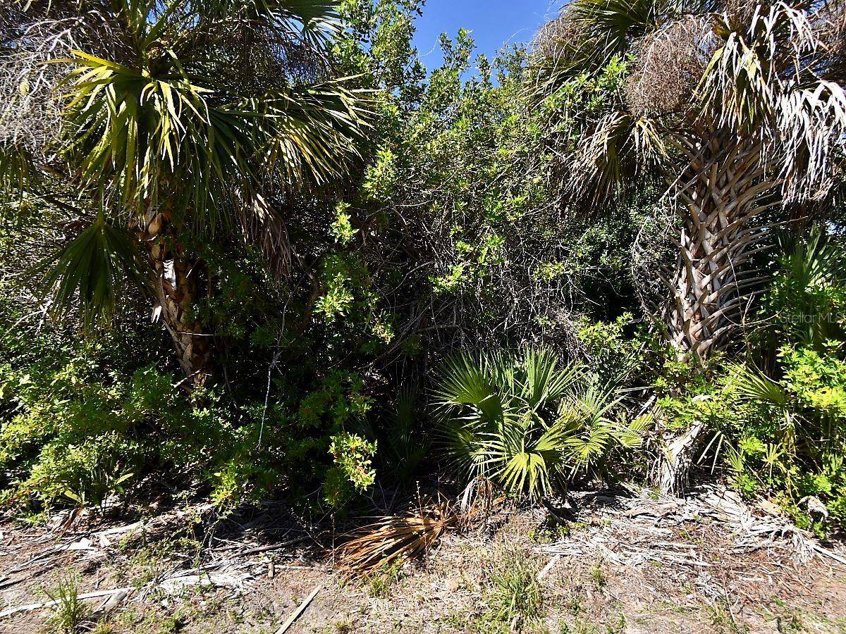 WHEELING AVE, North Port, FL 34288