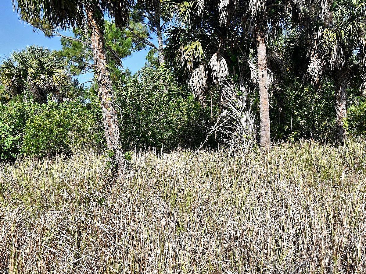 DENNIS ST, North Port, FL 34286