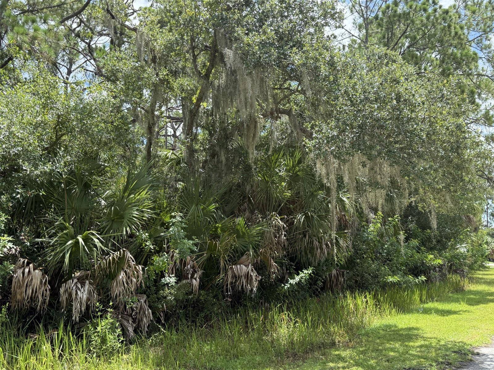 BADALI RD, North Port, FL 34286