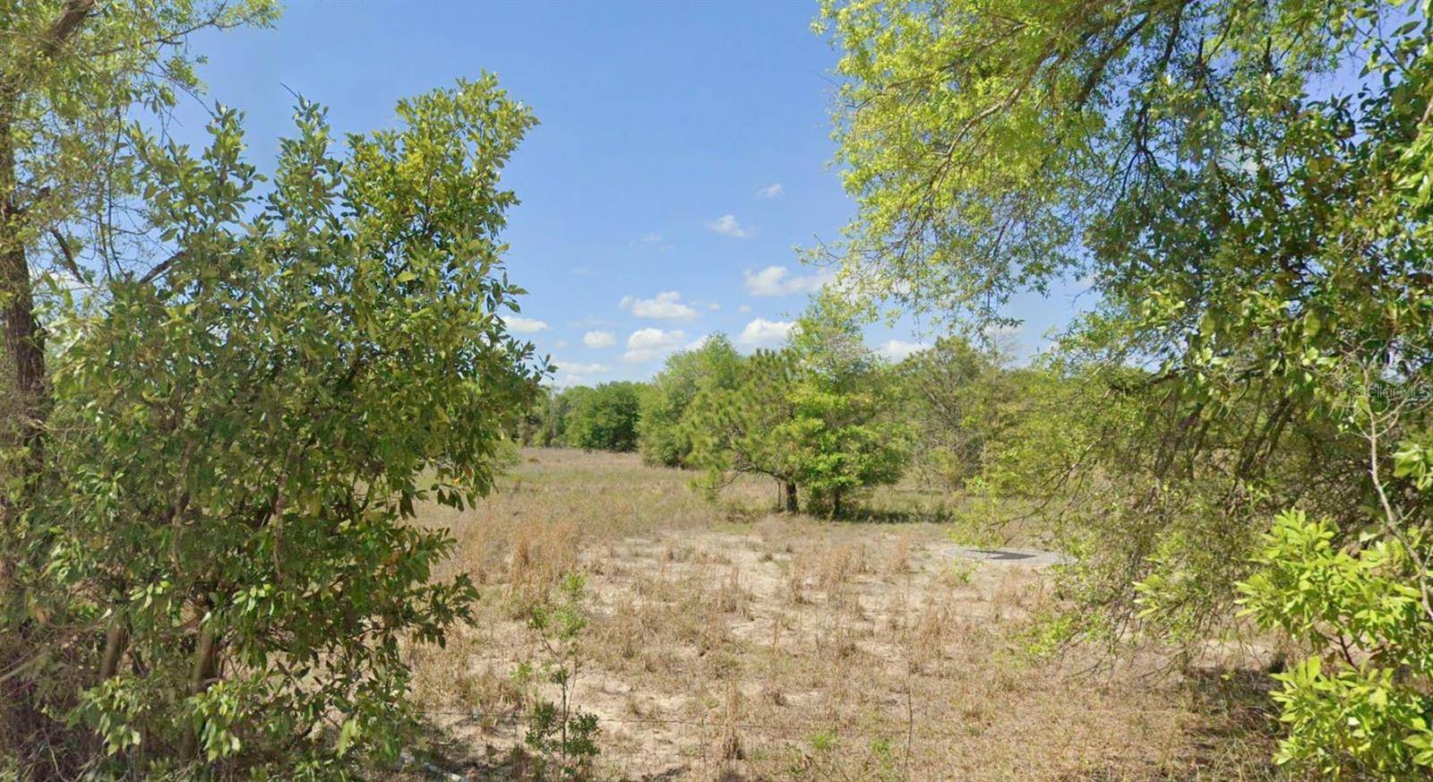 OFF NW CR-138 #Lot 95, Branford, FL 32008