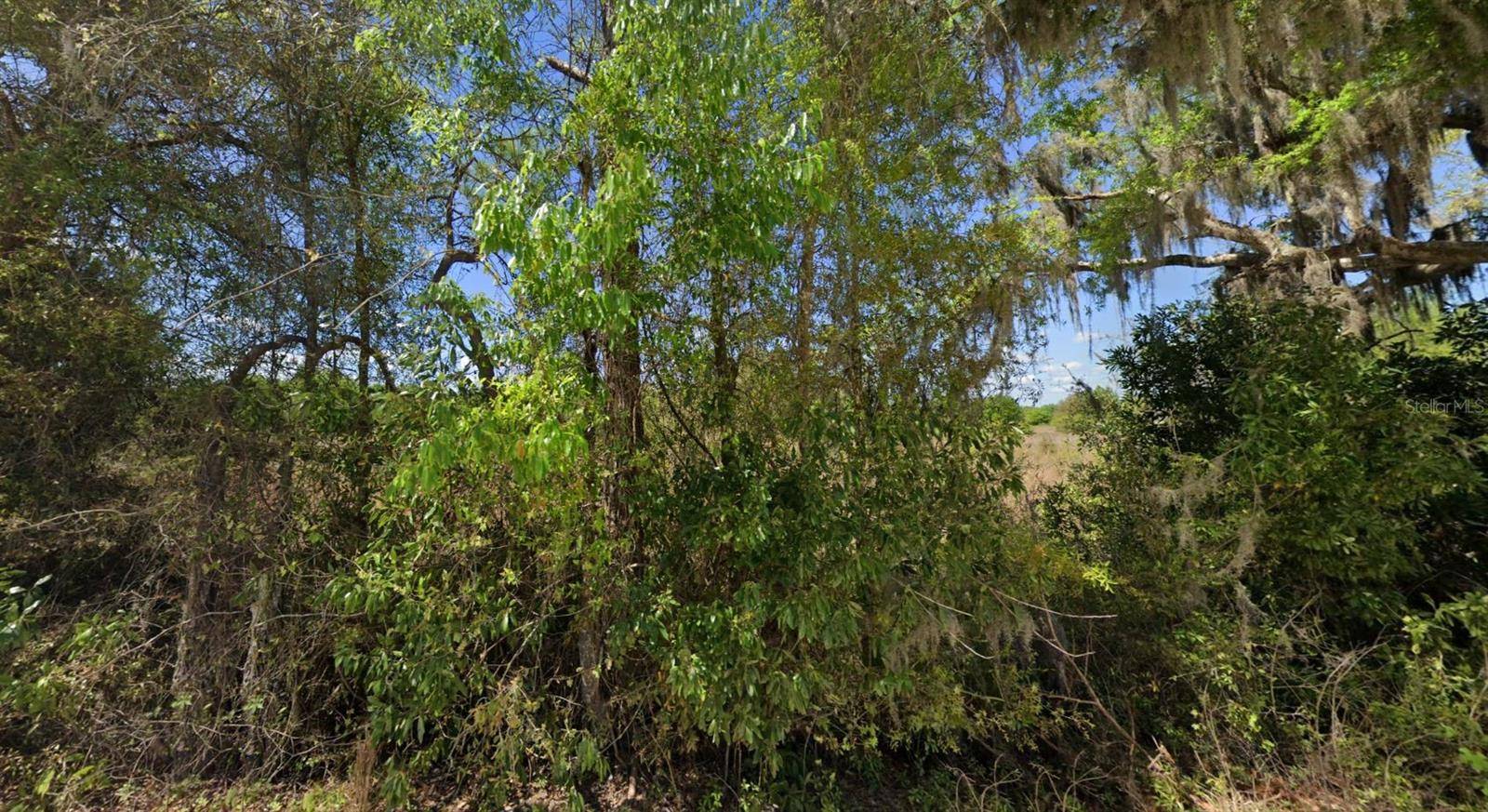 OFF NW CR 138 #Lot 71, Branford, FL 32008