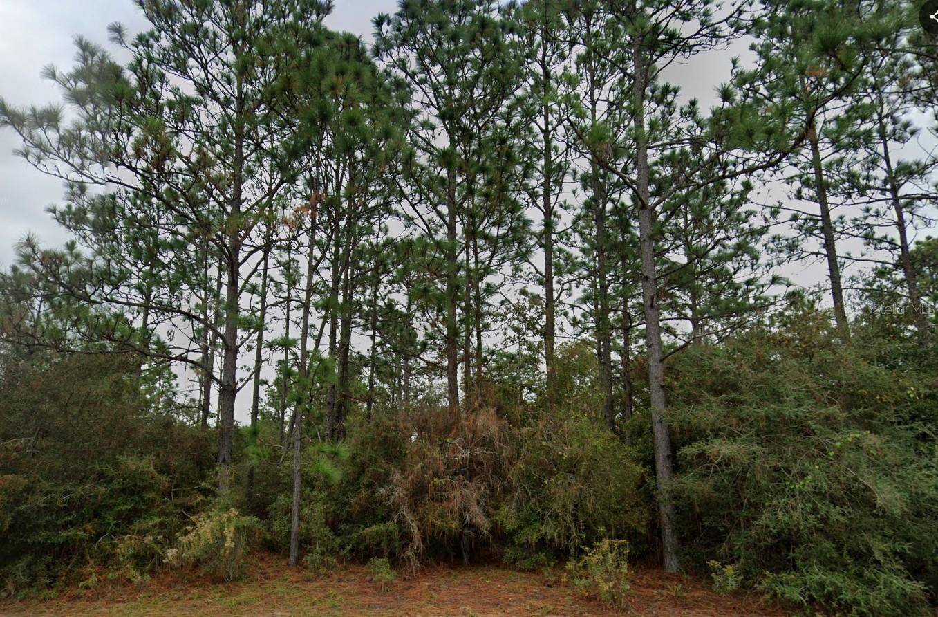 DELTONA BLVD, Chipley, FL 32428